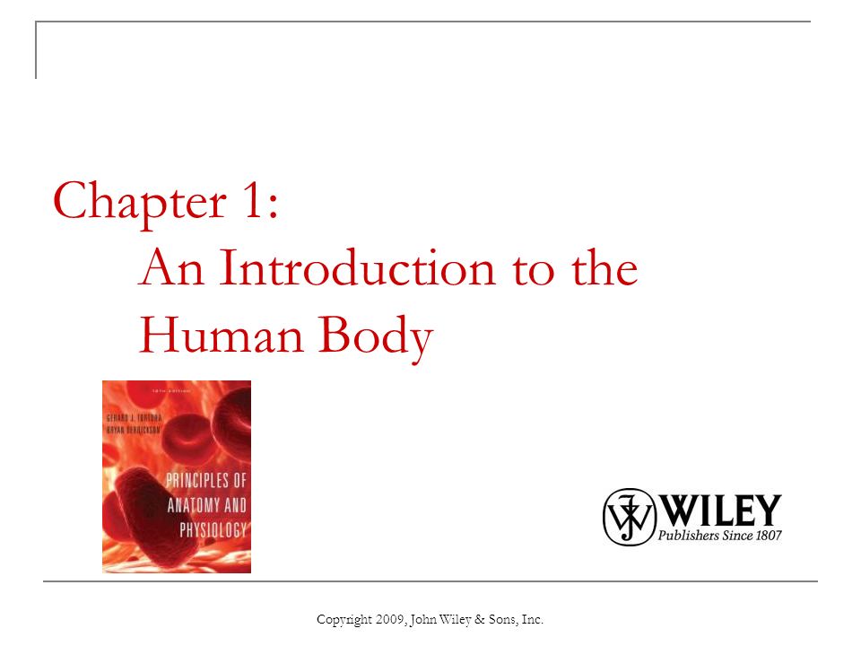 An introduction to the main parts of the human body